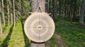 ACEJET Competition Endgrain Target – Officieel Wedstrijd Werpdoel Ø50 cm